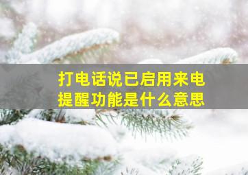 打电话说已启用来电提醒功能是什么意思