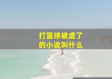 打篮球被虐了的小说叫什么