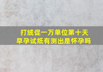 打绒促一万单位第十天早孕试纸有测出是怀孕吗