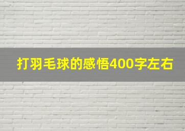 打羽毛球的感悟400字左右