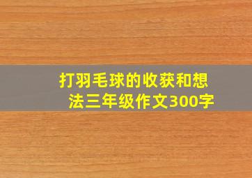 打羽毛球的收获和想法三年级作文300字