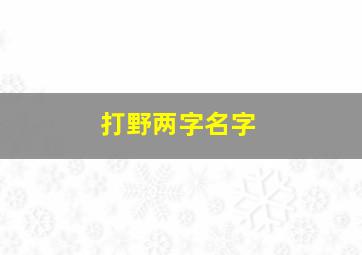 打野两字名字