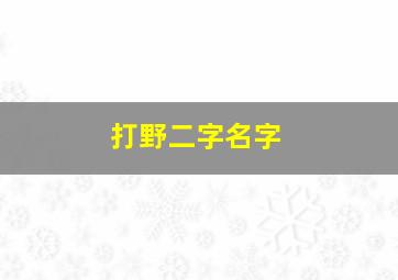 打野二字名字