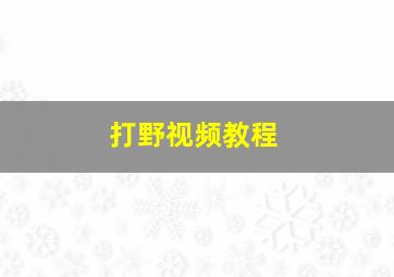 打野视频教程