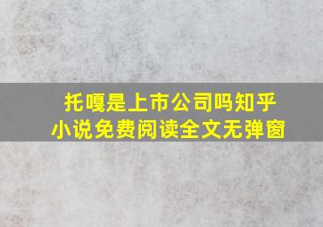 托嘎是上市公司吗知乎小说免费阅读全文无弹窗