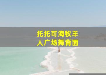 托托可海牧羊人广场舞背面