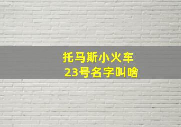 托马斯小火车23号名字叫啥