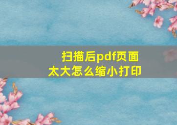 扫描后pdf页面太大怎么缩小打印