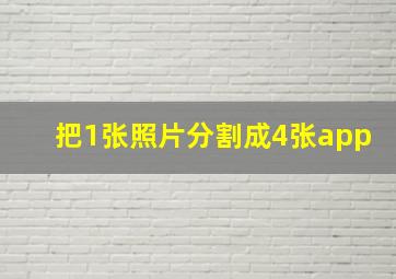 把1张照片分割成4张app