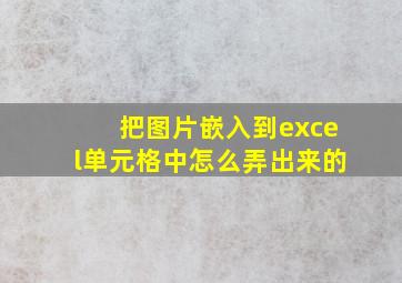 把图片嵌入到excel单元格中怎么弄出来的