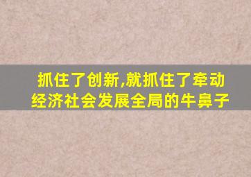 抓住了创新,就抓住了牵动经济社会发展全局的牛鼻子