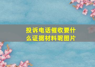 投诉电话催收要什么证据材料呢图片