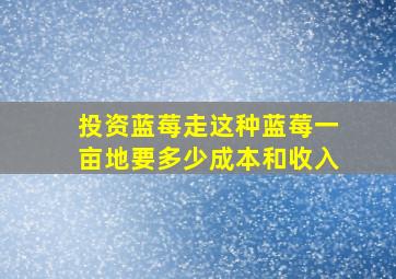 投资蓝莓走这种蓝莓一亩地要多少成本和收入