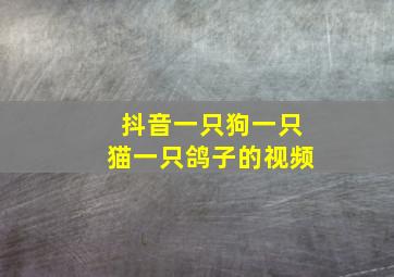 抖音一只狗一只猫一只鸽子的视频