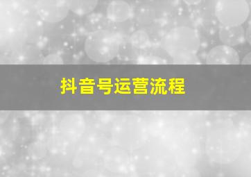 抖音号运营流程