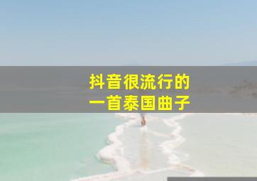 抖音很流行的一首泰国曲子