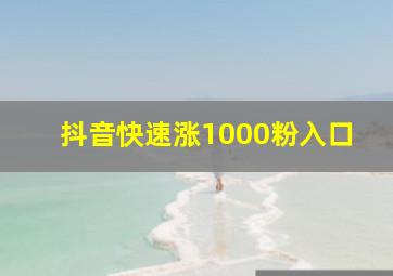 抖音快速涨1000粉入口