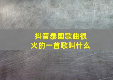 抖音泰国歌曲很火的一首歌叫什么