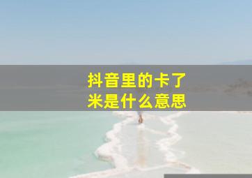 抖音里的卡了米是什么意思