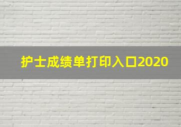 护士成绩单打印入口2020