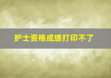 护士资格成绩打印不了