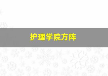 护理学院方阵