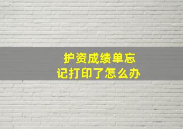 护资成绩单忘记打印了怎么办