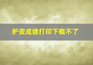 护资成绩打印下载不了