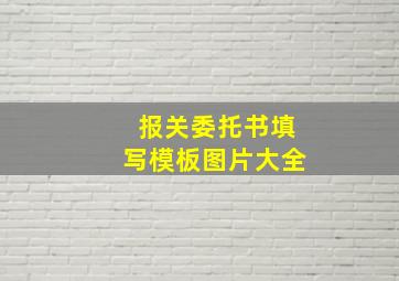 报关委托书填写模板图片大全