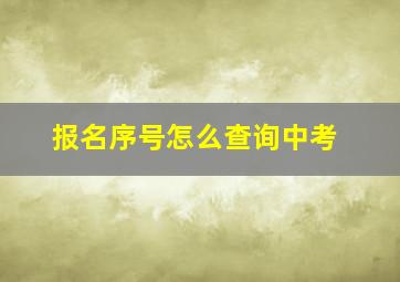 报名序号怎么查询中考