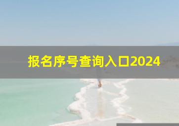 报名序号查询入口2024