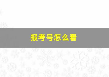 报考号怎么看