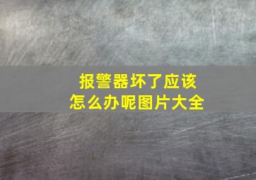 报警器坏了应该怎么办呢图片大全