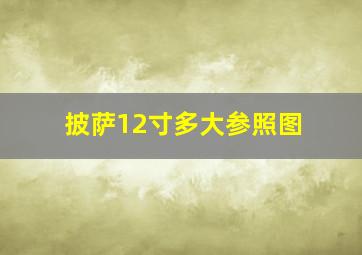 披萨12寸多大参照图