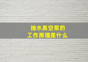 抽水真空泵的工作原理是什么