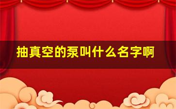 抽真空的泵叫什么名字啊