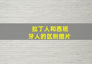 拉丁人和西班牙人的区别图片