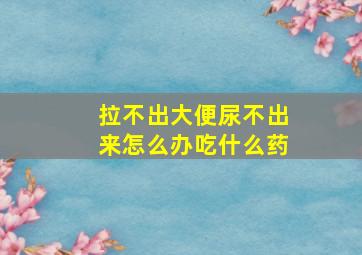 拉不出大便尿不出来怎么办吃什么药