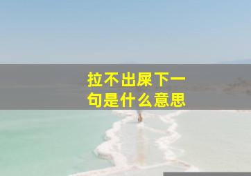 拉不出屎下一句是什么意思