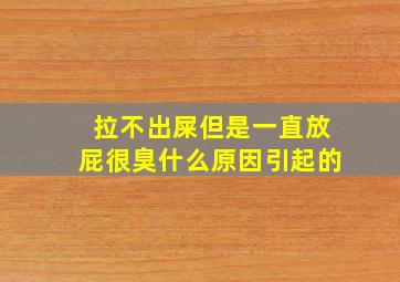 拉不出屎但是一直放屁很臭什么原因引起的