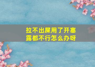 拉不出屎用了开塞露都不行怎么办呀