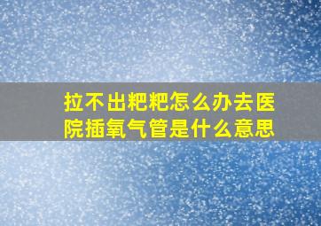 拉不出粑粑怎么办去医院插氧气管是什么意思