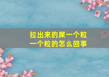 拉出来的屎一个粒一个粒的怎么回事