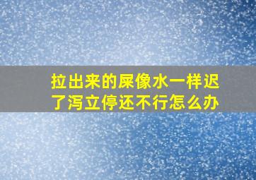 拉出来的屎像水一样迟了泻立停还不行怎么办