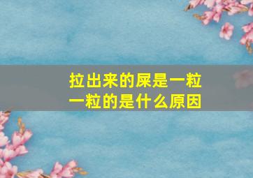 拉出来的屎是一粒一粒的是什么原因