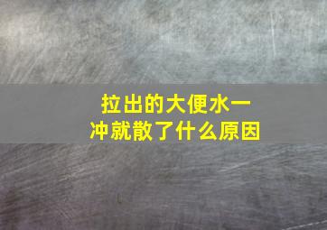 拉出的大便水一冲就散了什么原因