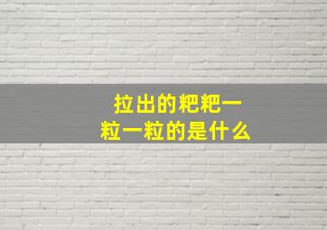 拉出的粑粑一粒一粒的是什么