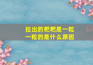 拉出的粑粑是一粒一粒的是什么原因