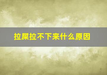 拉屎拉不下来什么原因