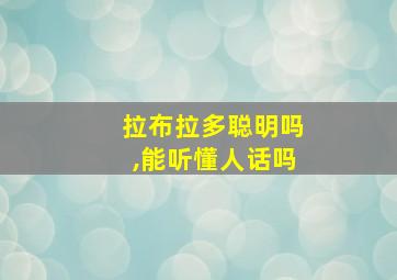 拉布拉多聪明吗,能听懂人话吗